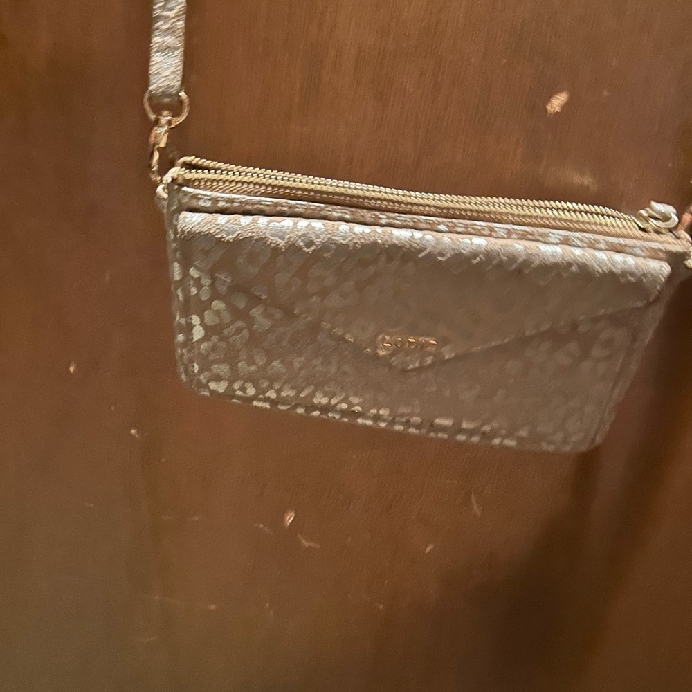Lodis Metallic Silver Clutch with Wristlet